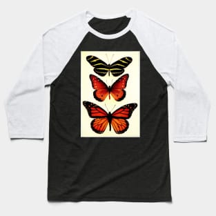 Zebra and Milkweed Butterflies, 1904 Baseball T-Shirt